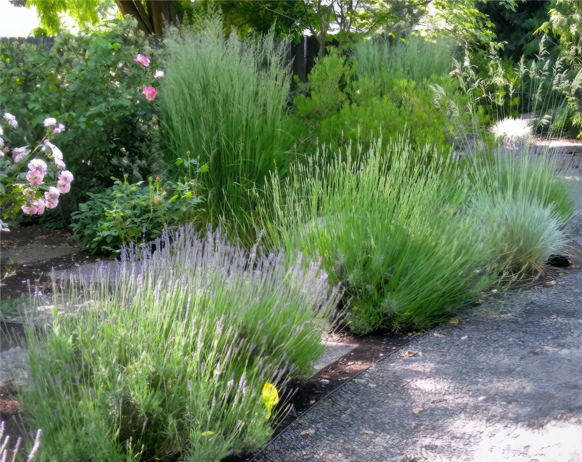 Edging of Gravel Path