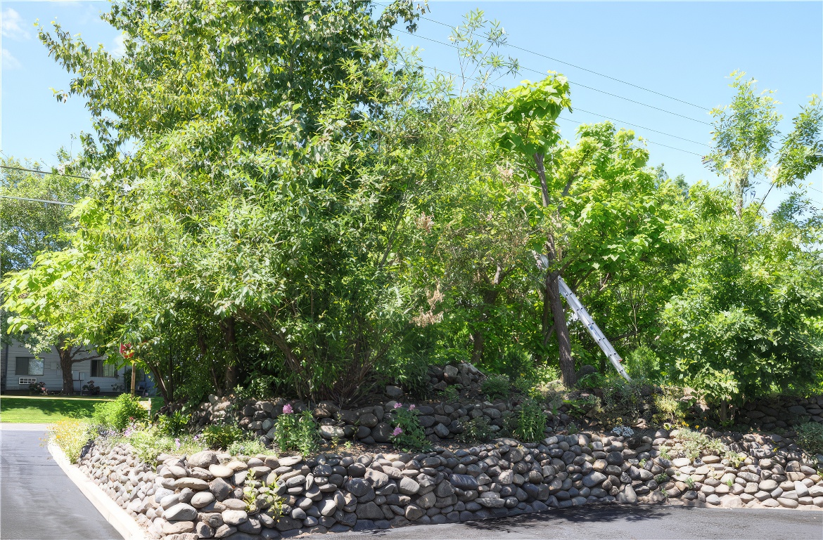 Privacy Trees