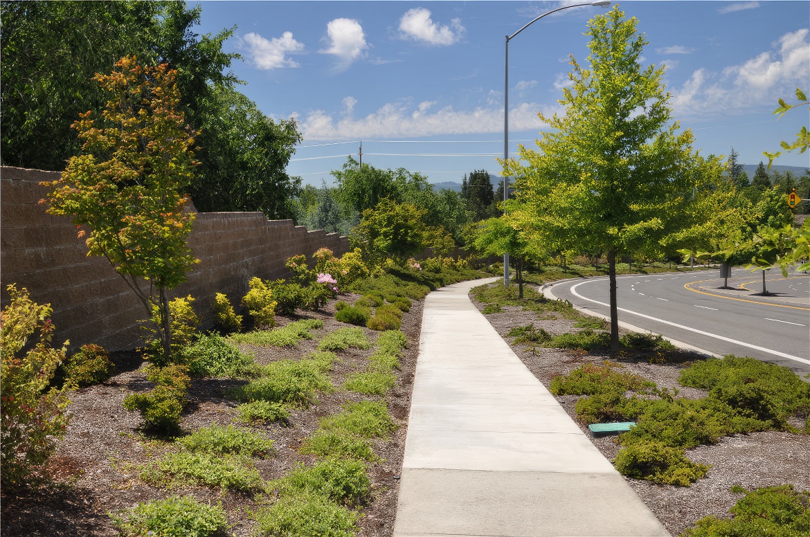 The Long Side Walk