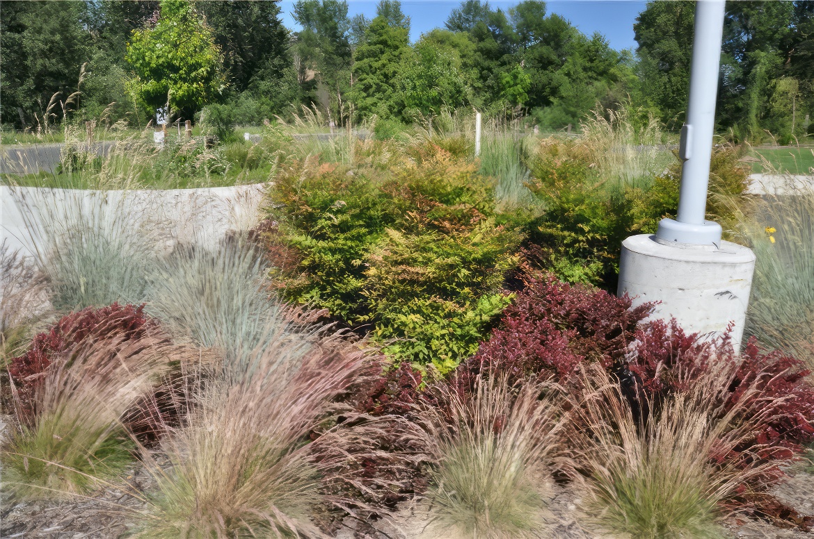 Park and Pole Plantings