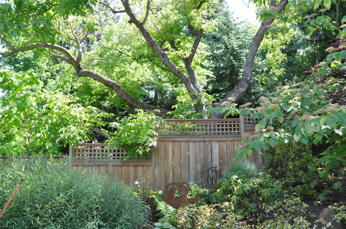 Wood Fence with Lattice Top