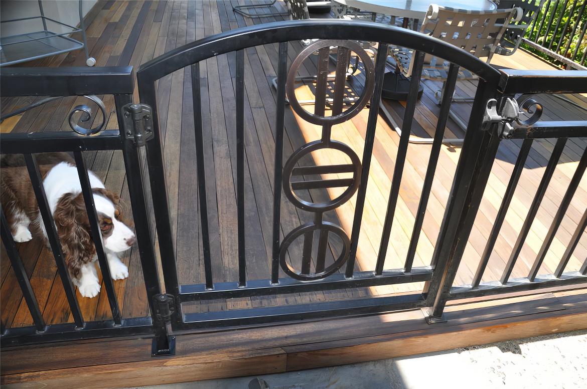 Metal Patterns Gate