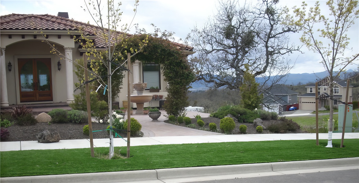 Artificial Turf