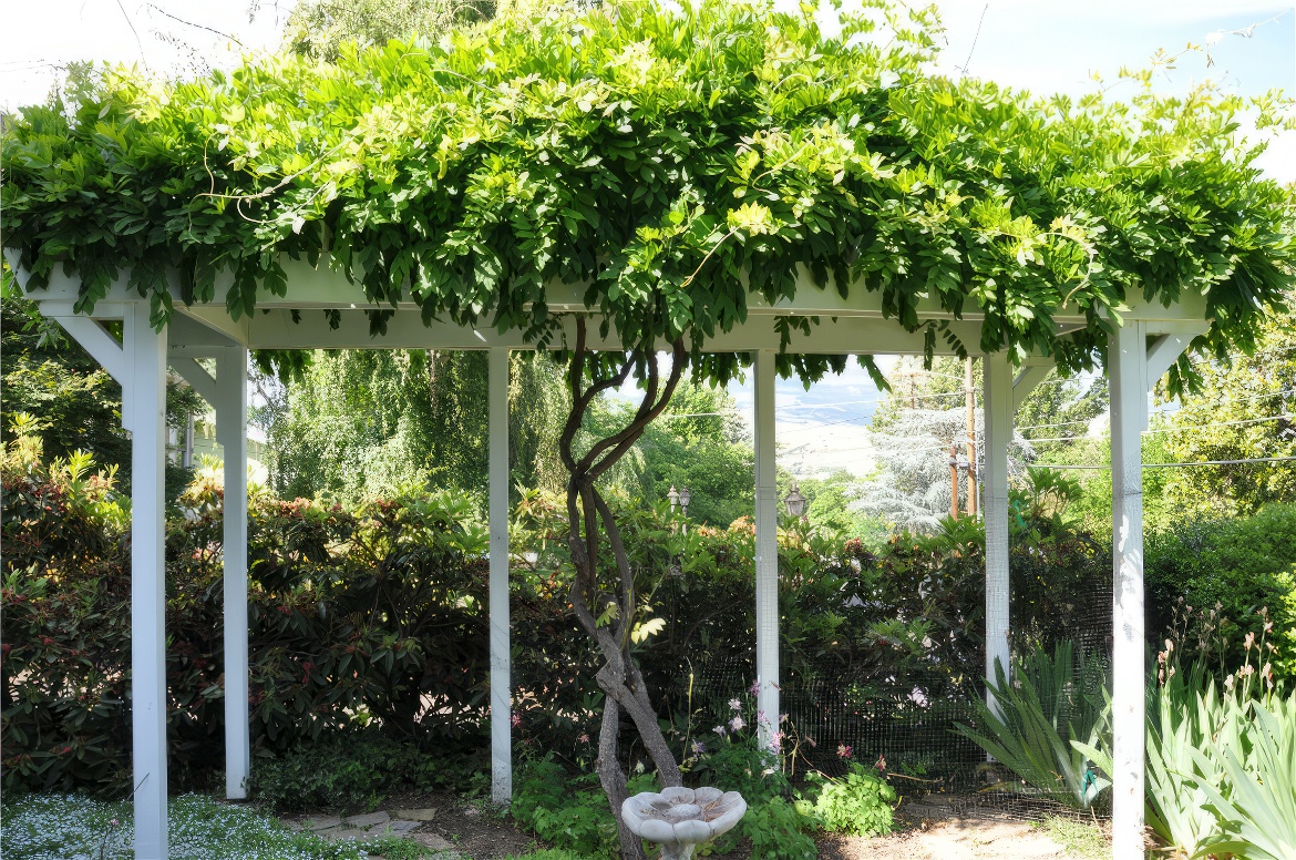 Arbors and Trellises