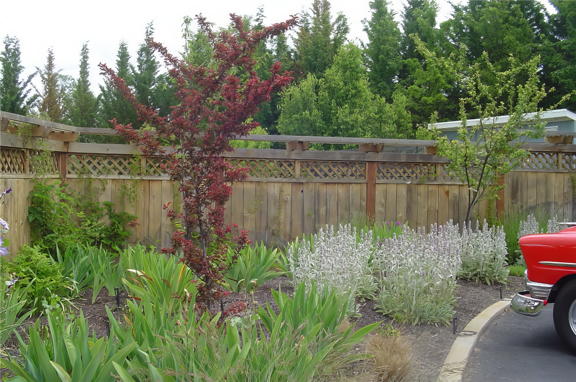 Breedlove Fence 2