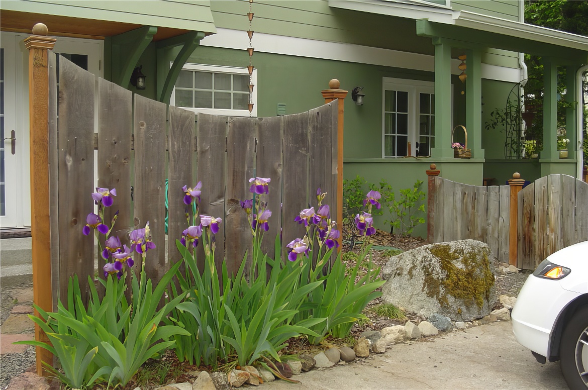 Fence and Iris Combo