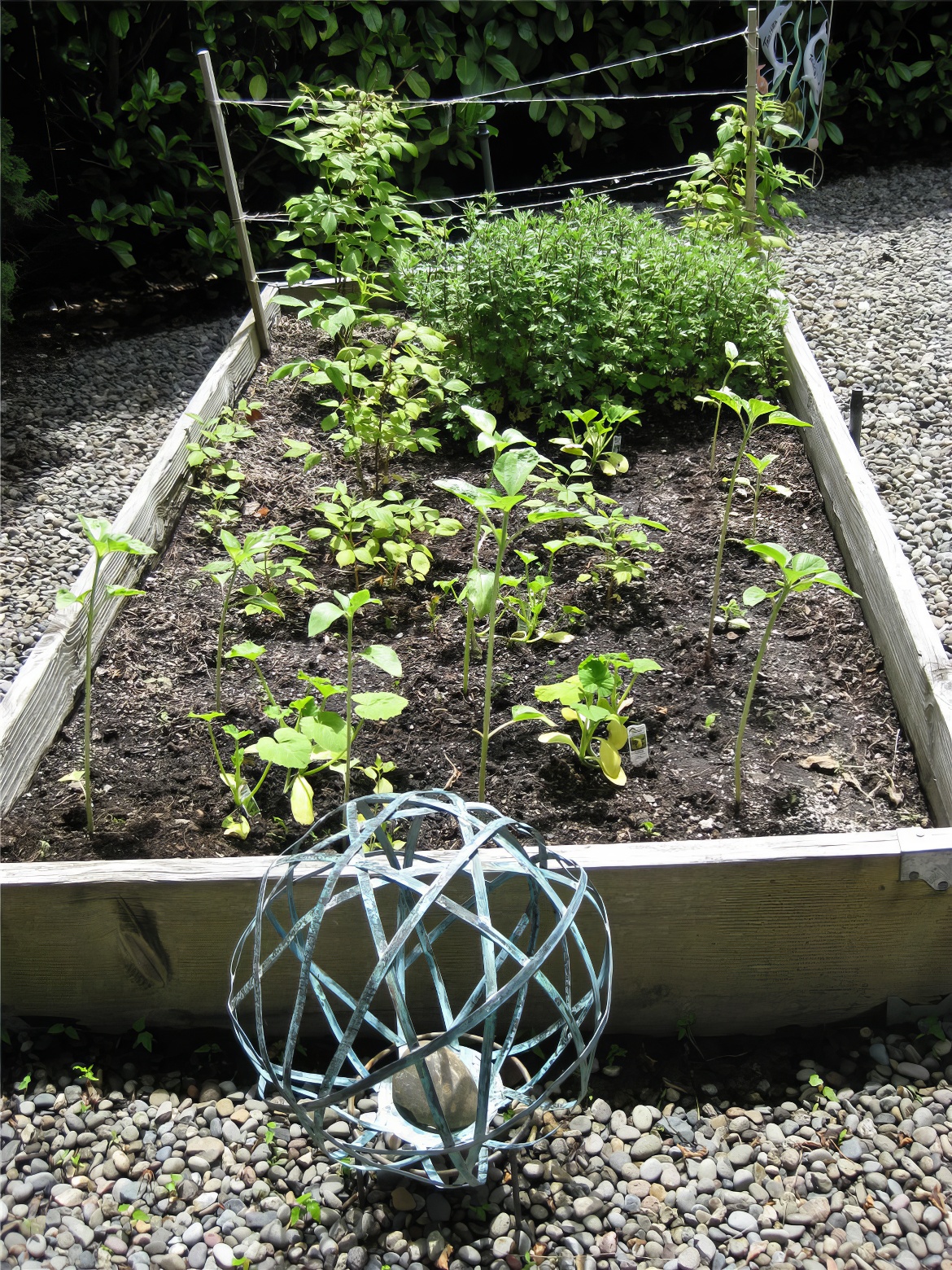 Rectangular Veggie Planter