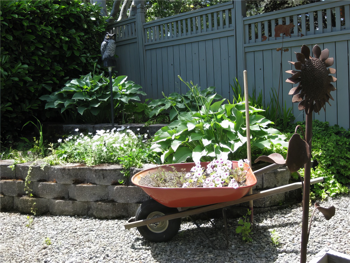 Planter and Wheel Barrow