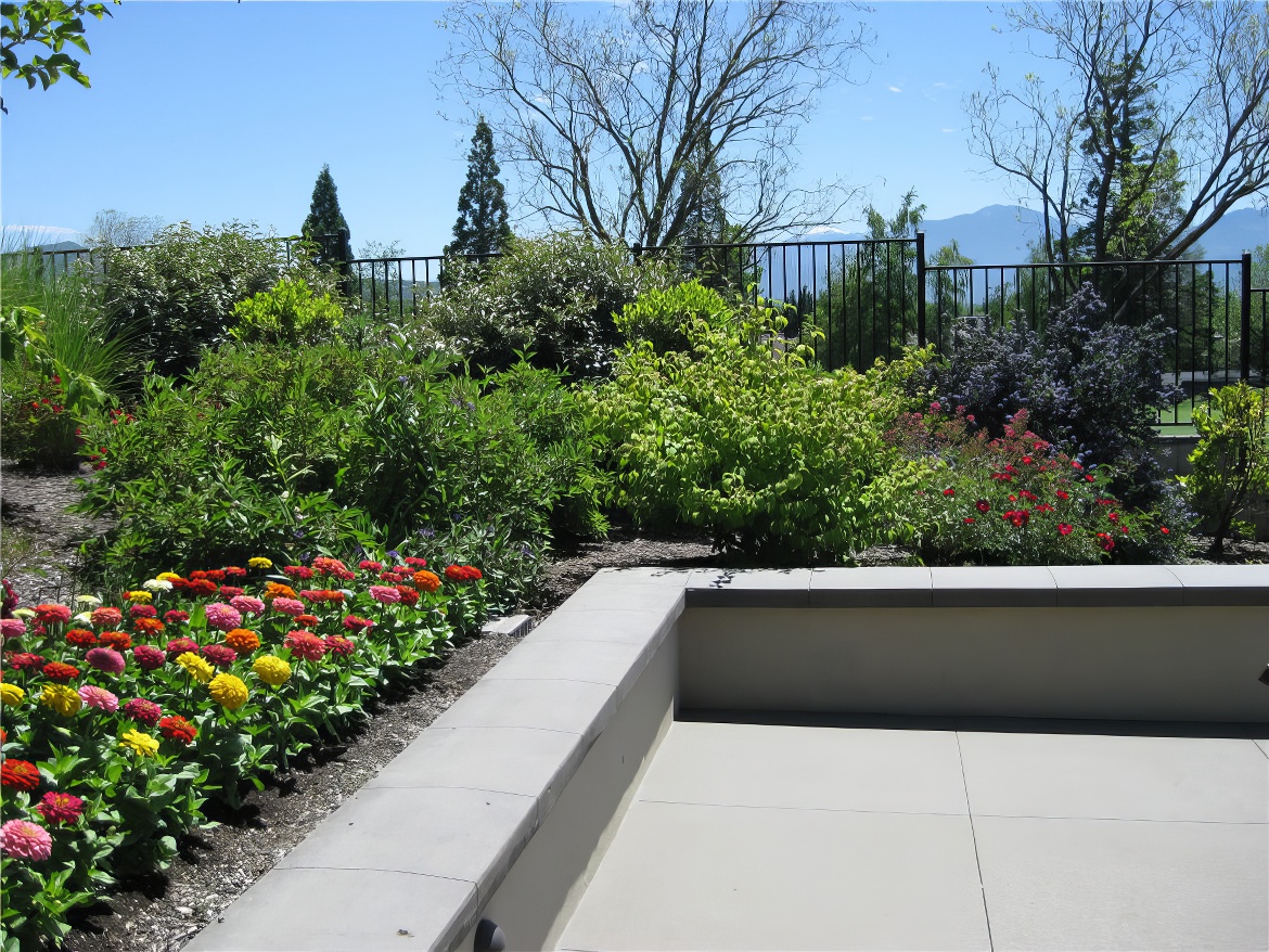 Raised Planter and Bench
