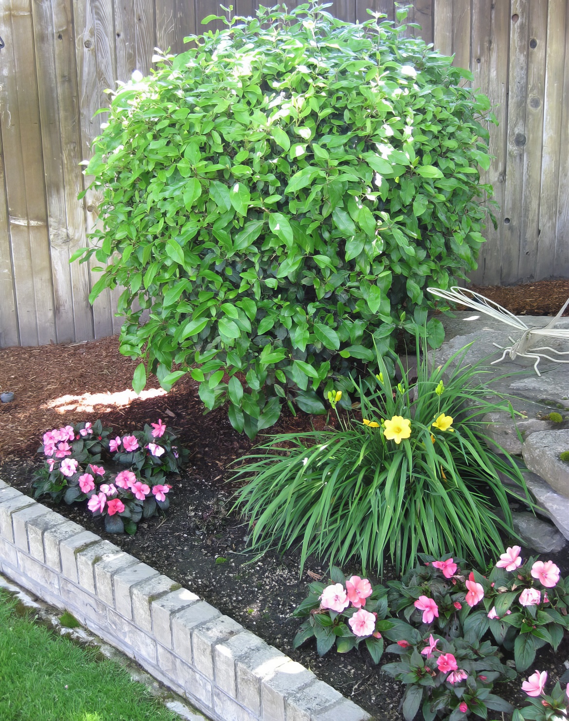 Two Brick High Raised Planter