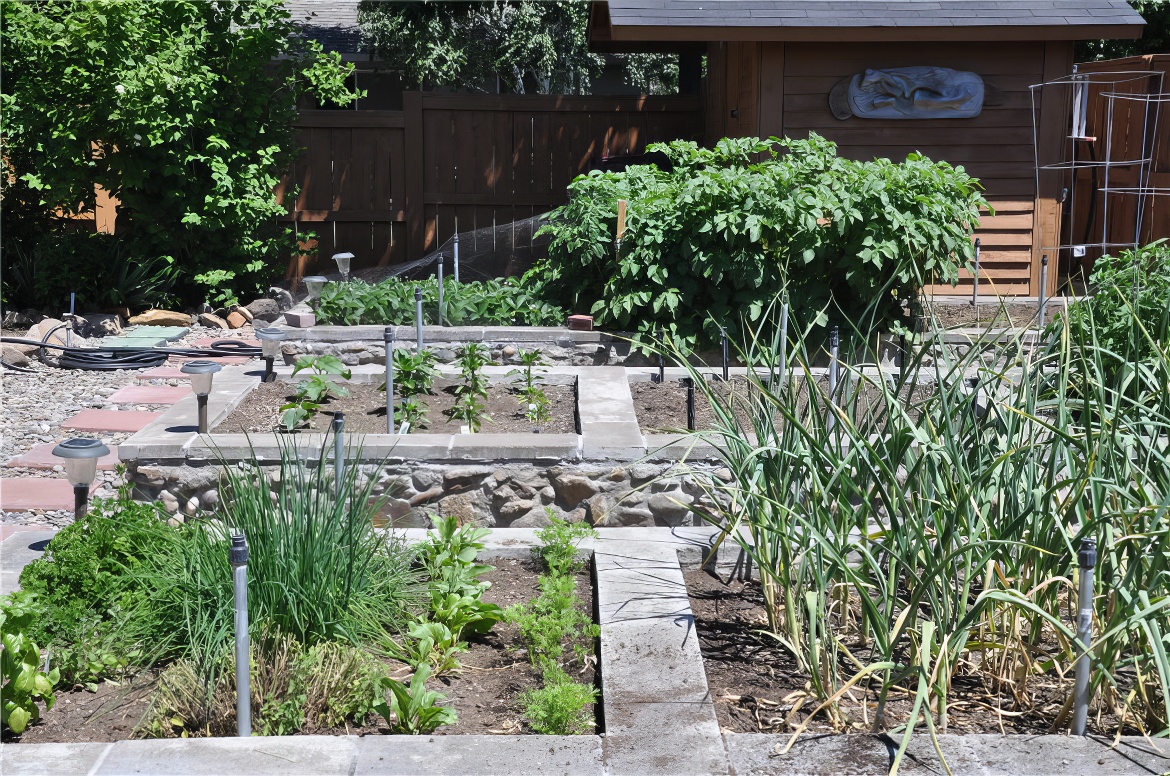 Individual Plots