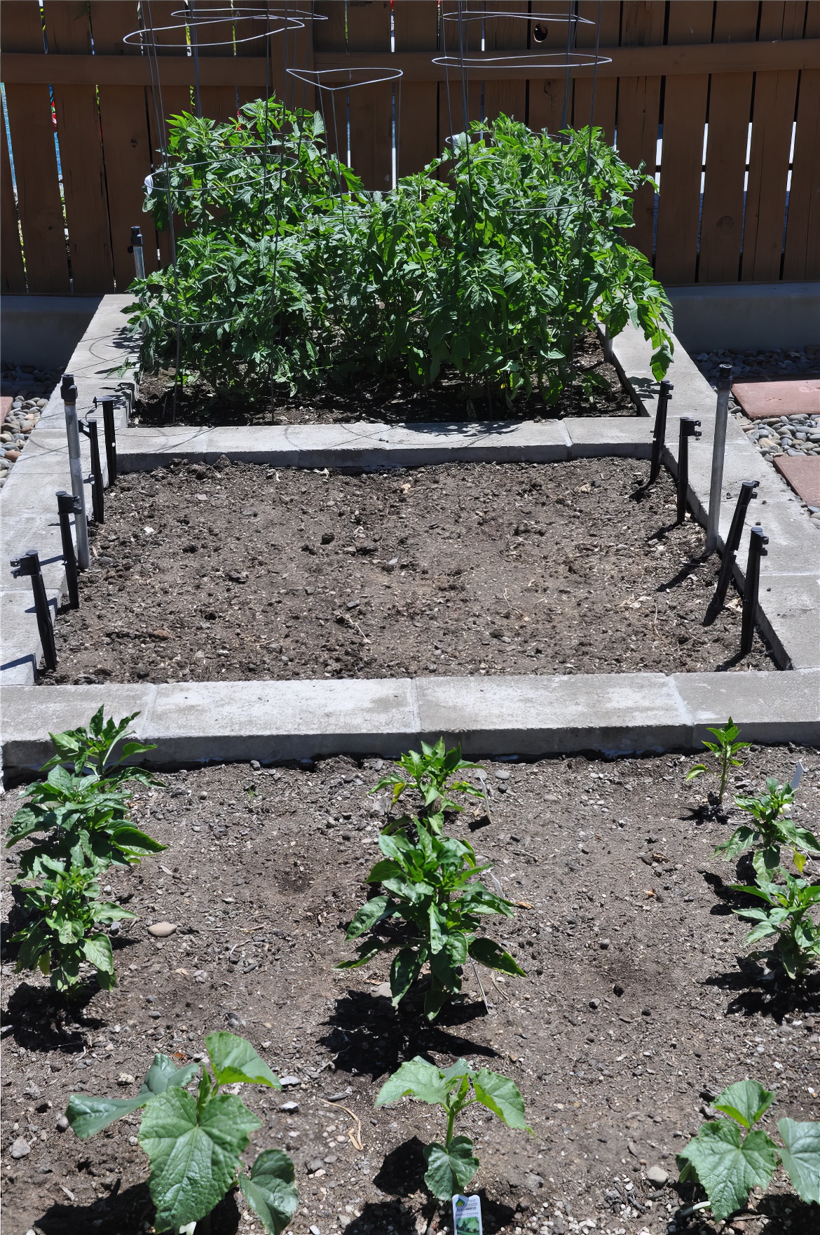 New Plantings Planter
