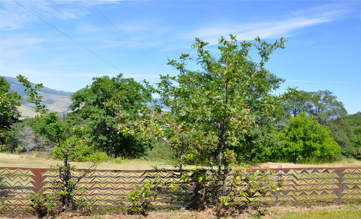 Copperline Fence