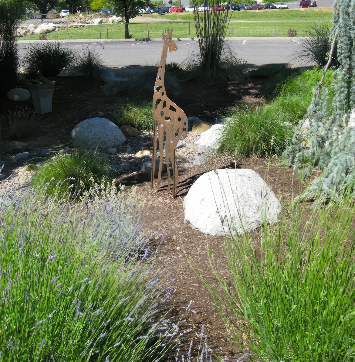 Meandering Giraffe