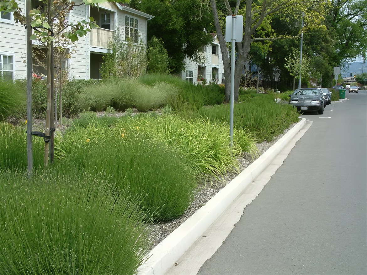 Lavender in the Strip