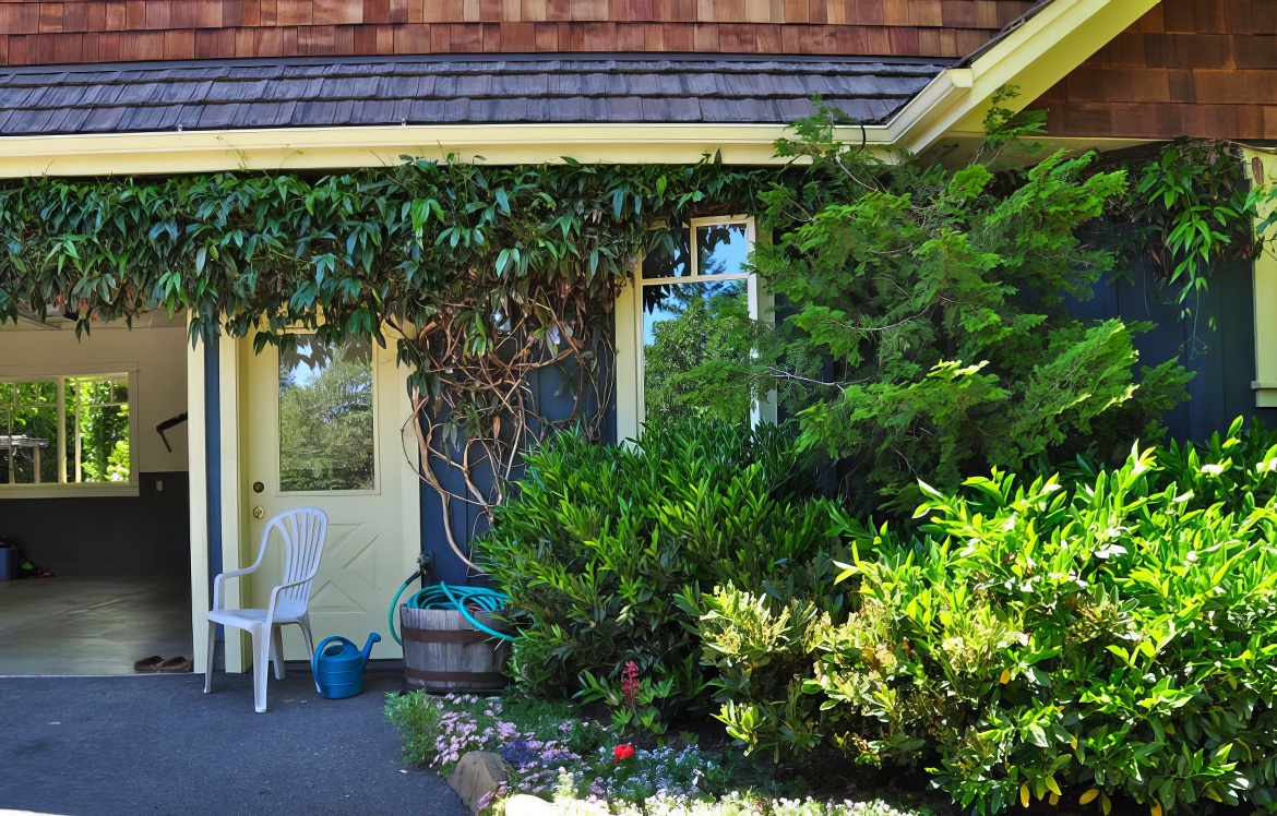 Vine on Garage