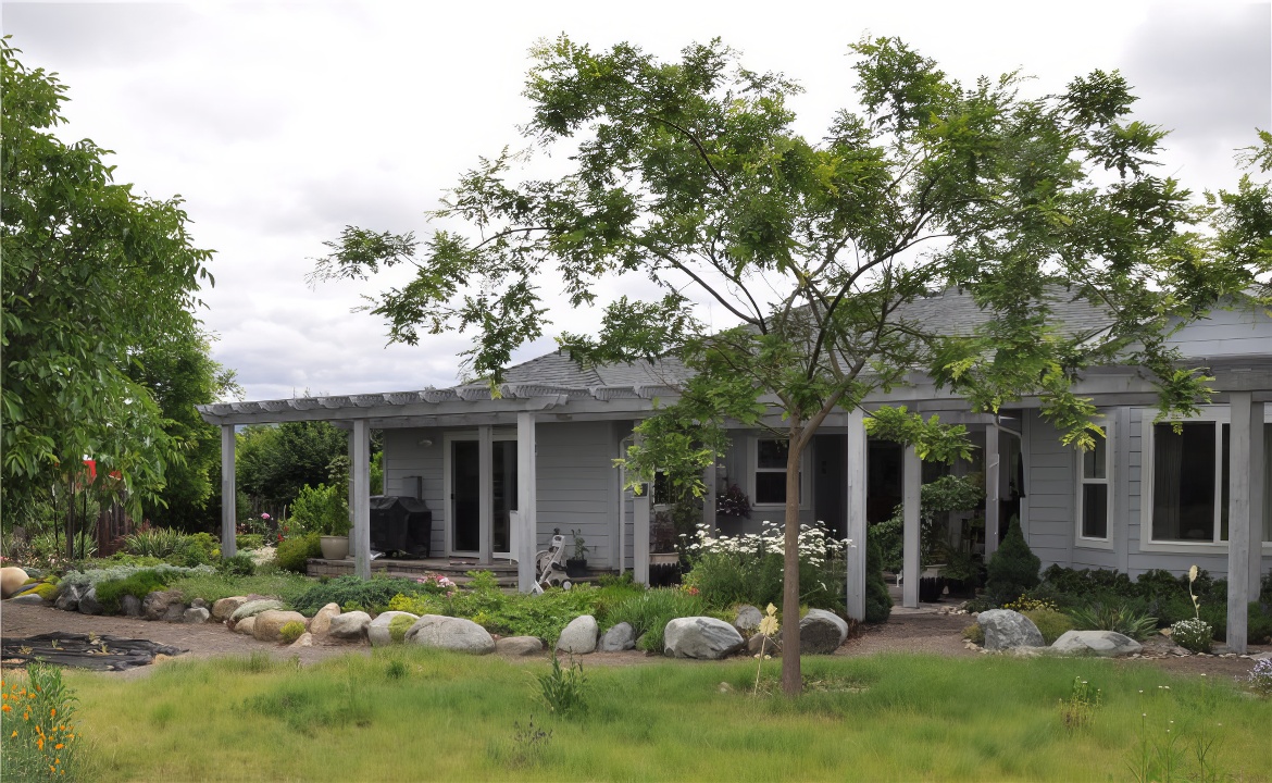 Back View of Patio