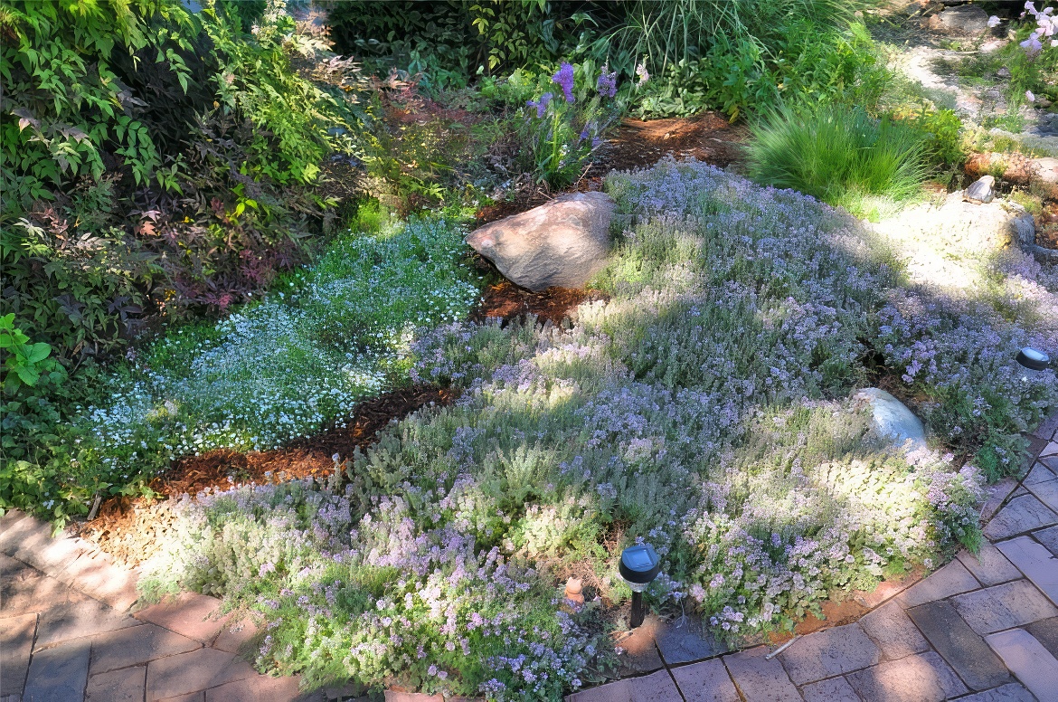 Thyme Corner
