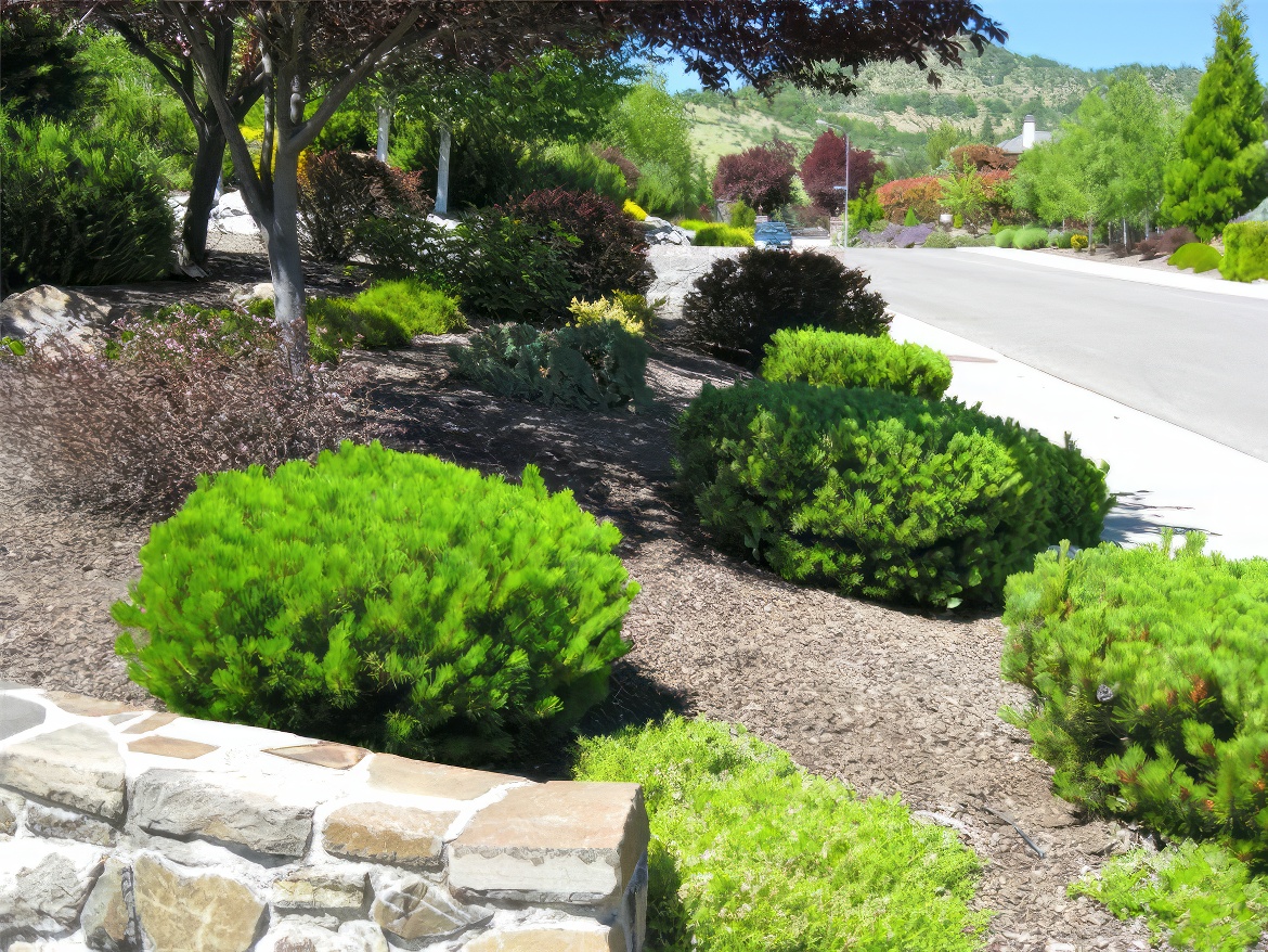 Slope Near Street