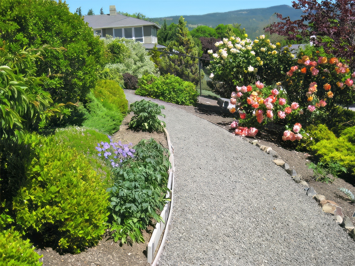 Gravel Path Through Garden
