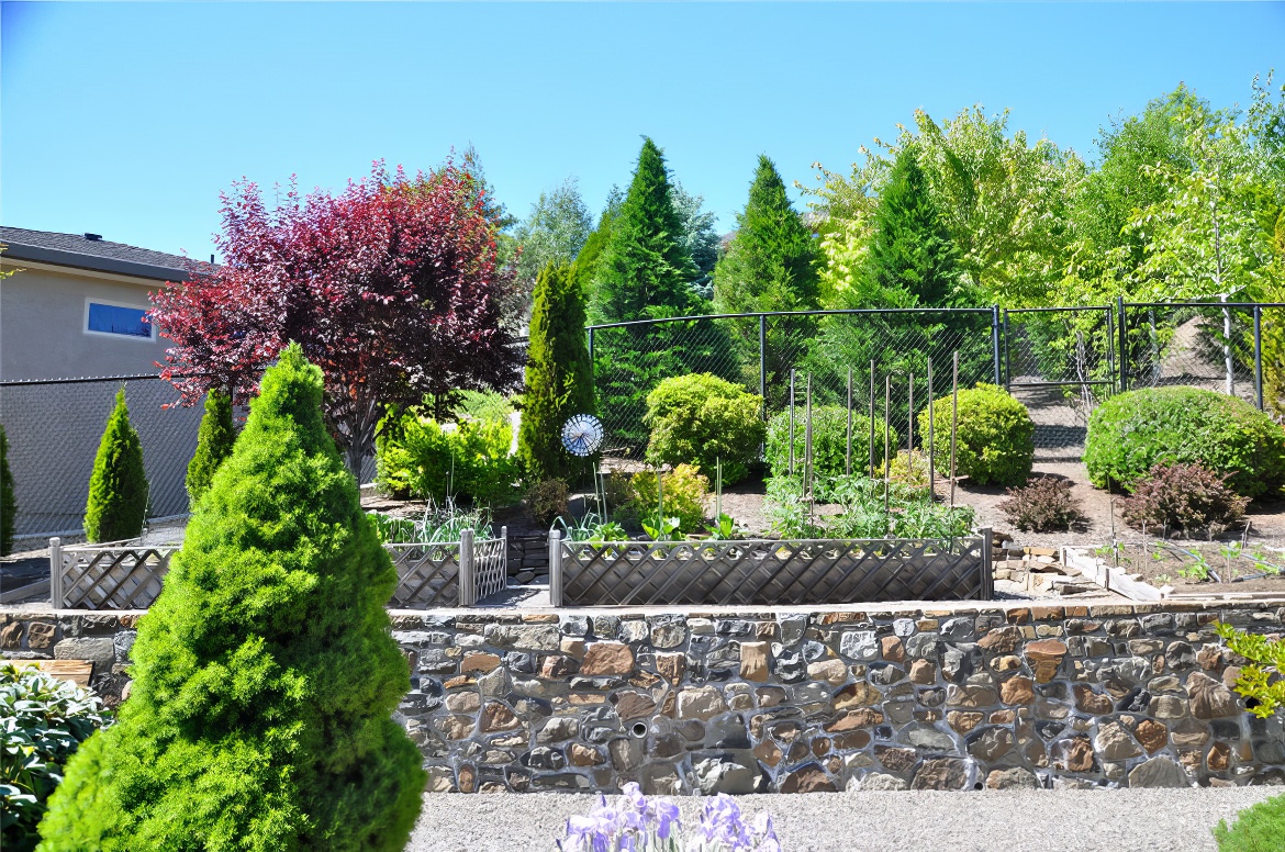 Veggie Garden