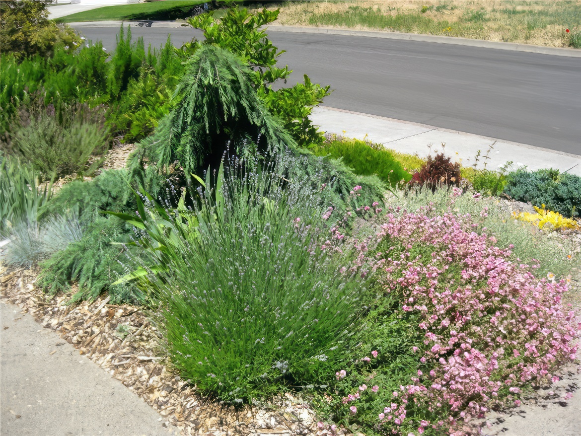 Parkway Strip
