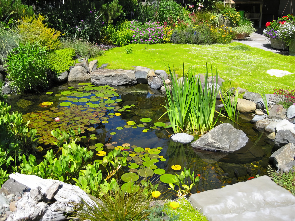 Pond in the Garden