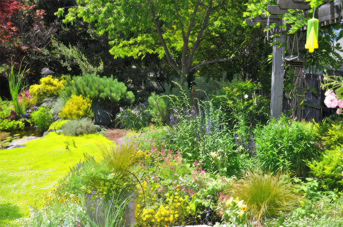 Lime Green Loveliness
