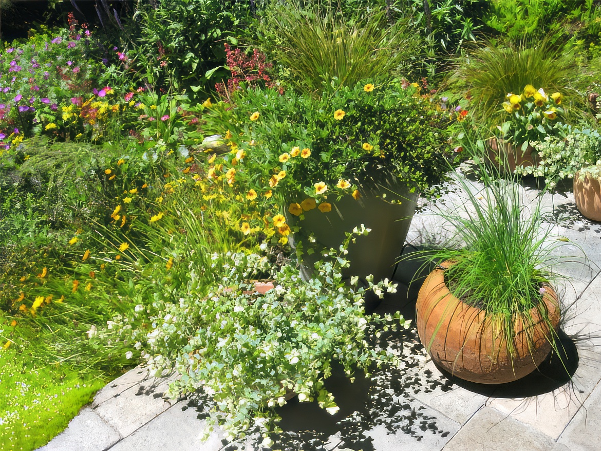 Containers at the Edge of Patio