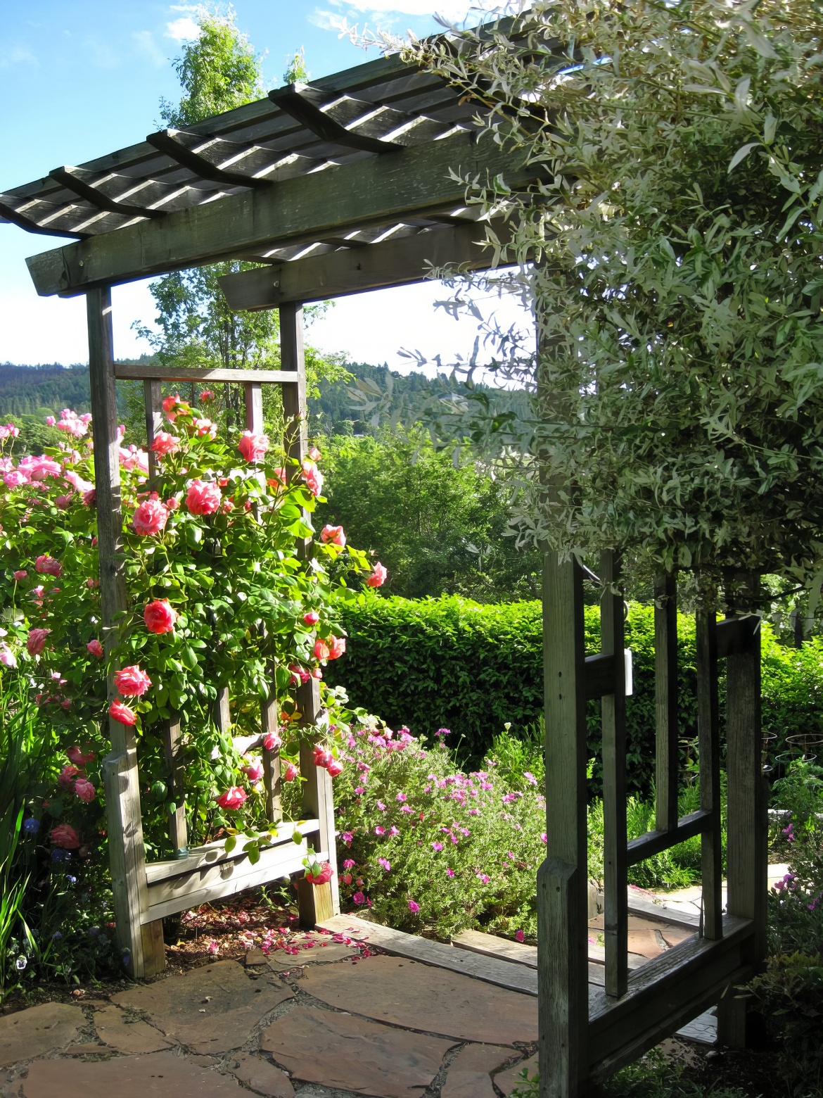 Arbor Connects Outdoor Rooms