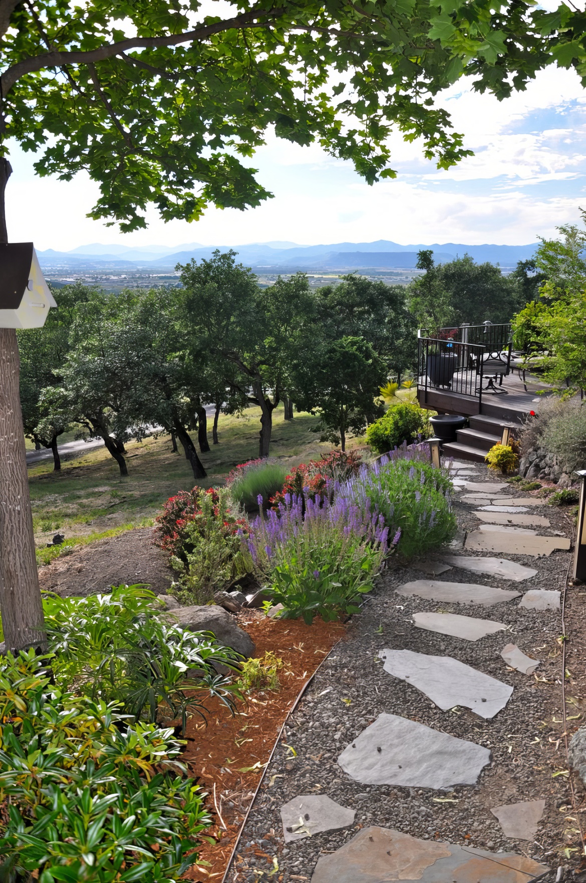 Steps to Rear of Property