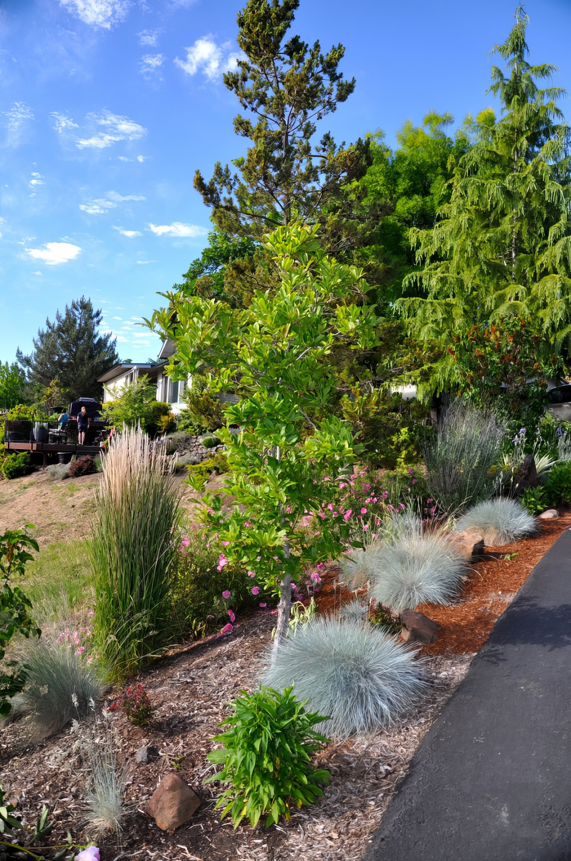 Border Along Walkway