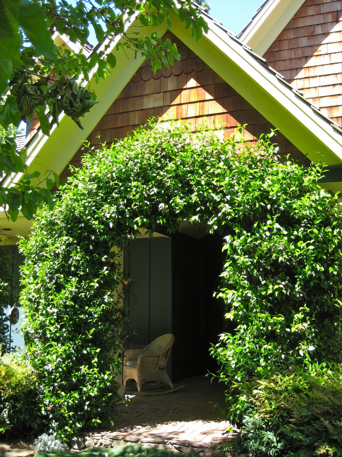 Vine Front Entry