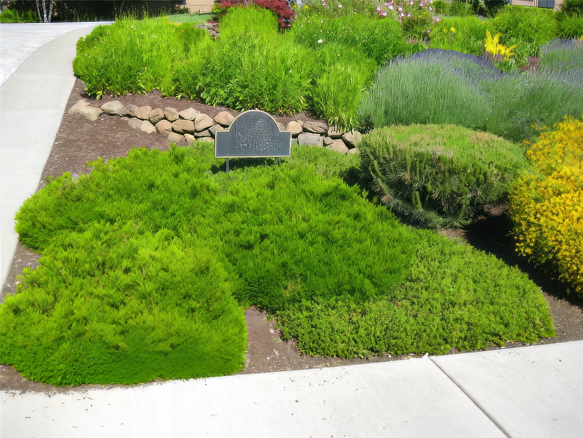 House Address Garden Display
