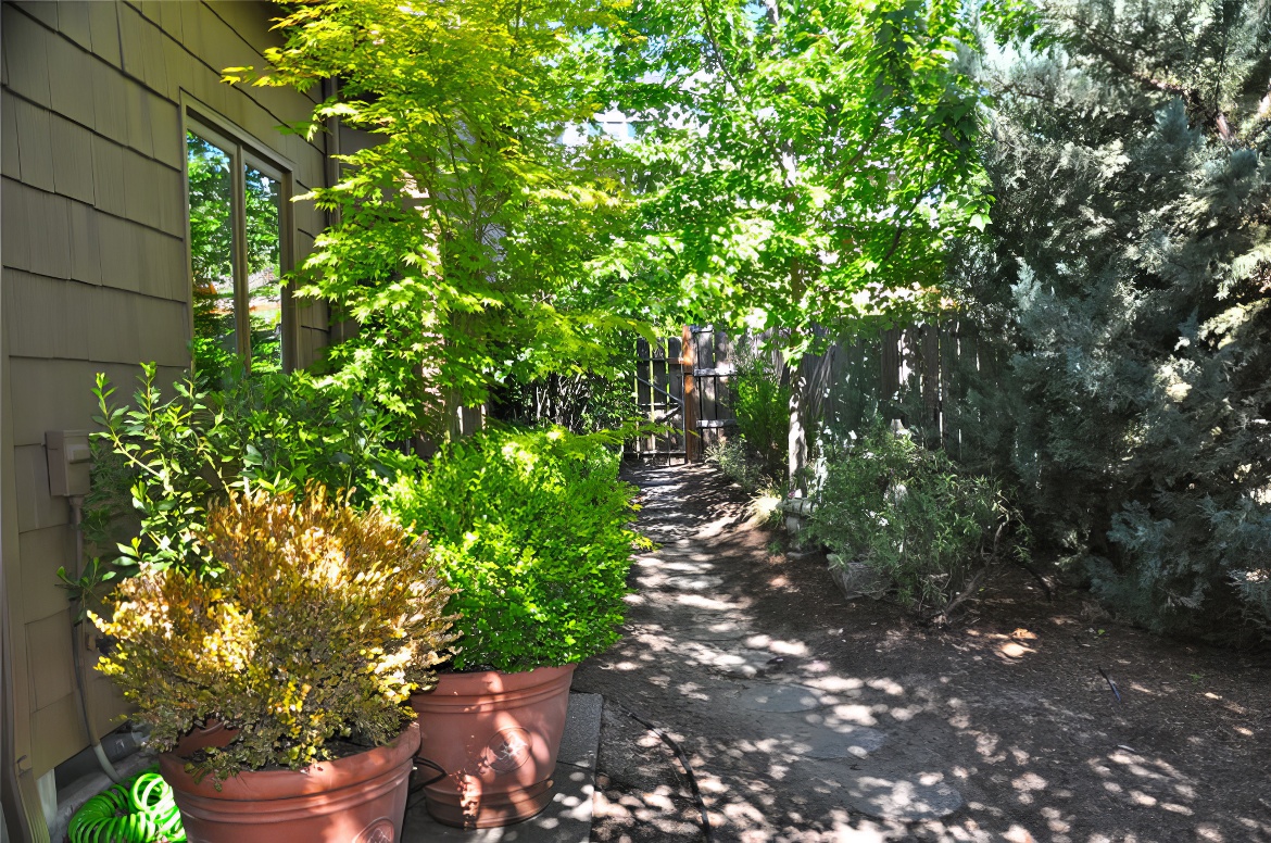 Dappled Shade Side Entry
