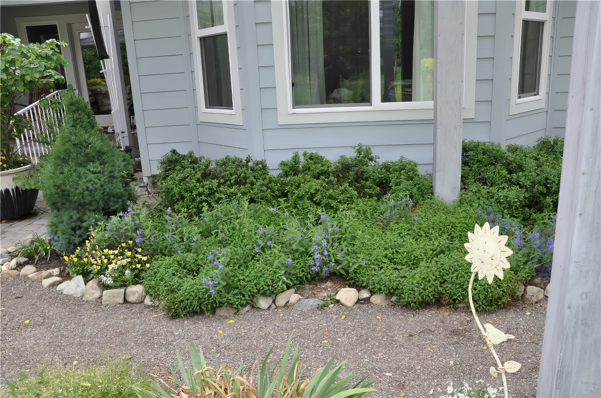 Shrub Border Near House