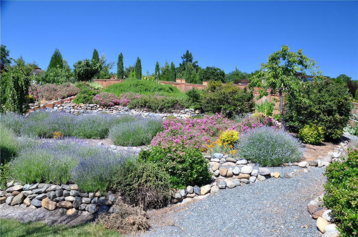 Gravel Path Through Back Yard