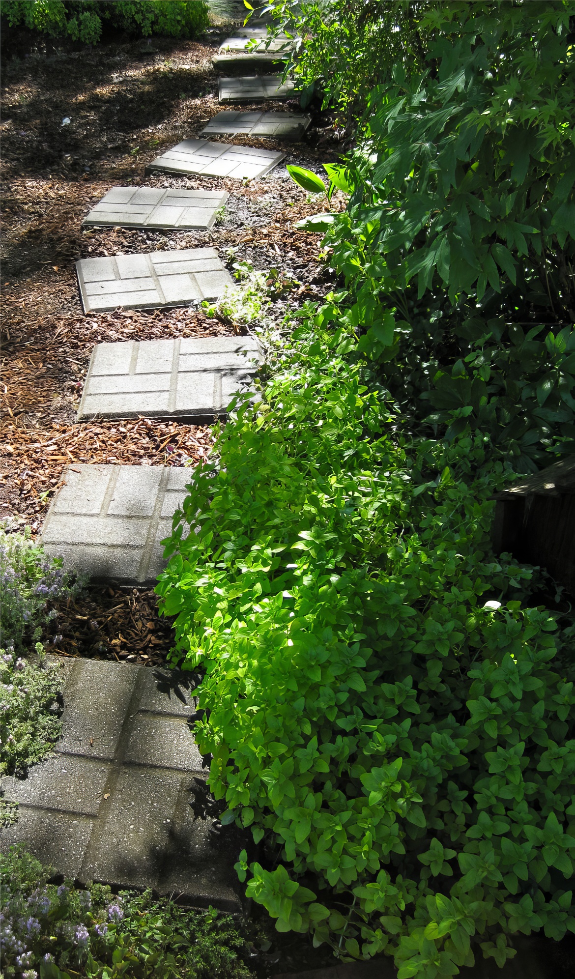Cement Pavers