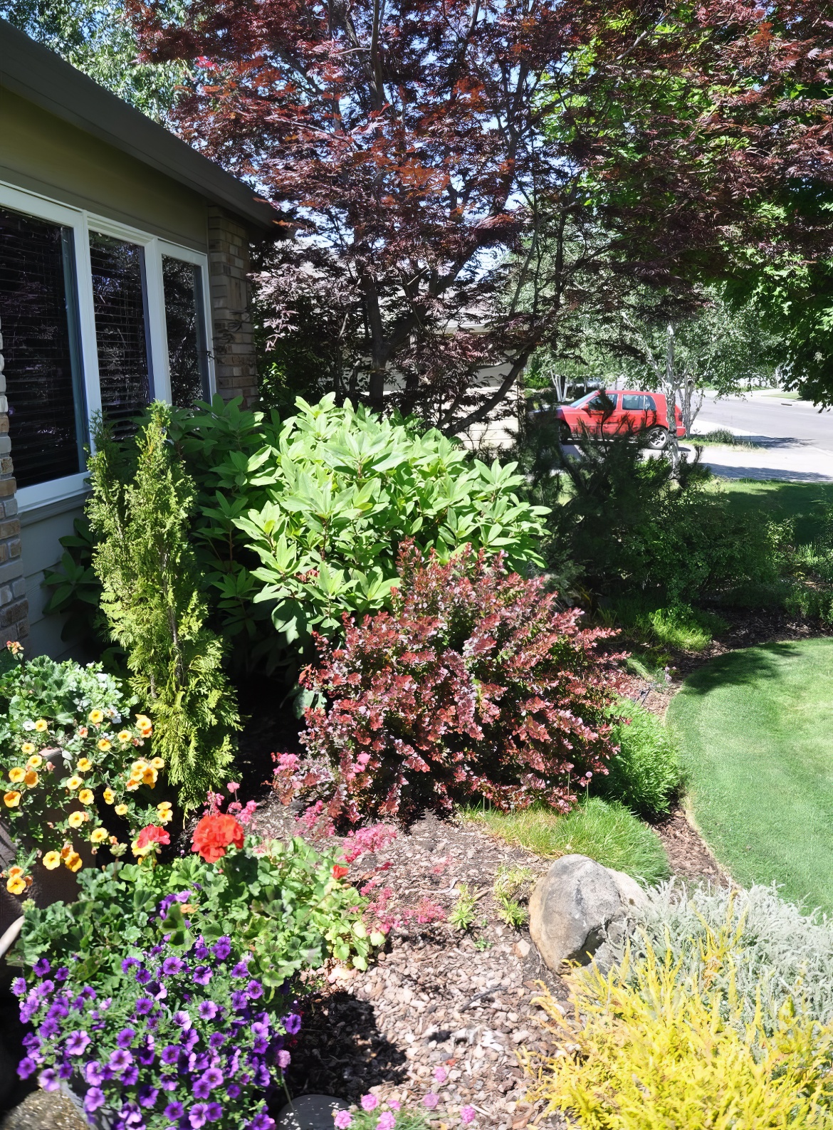 Front Yard Border