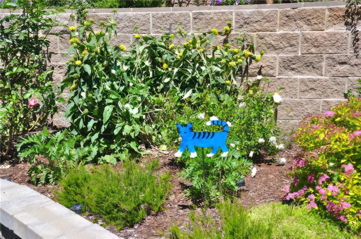 Floating Blue Cat
