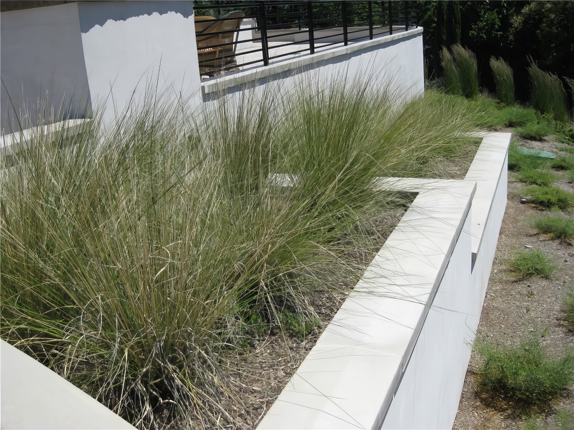 Grasses and Planters